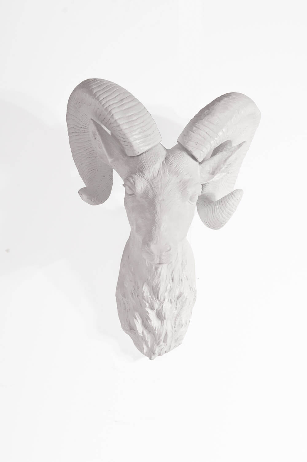 Buy Goat Head Wall Tribal Art Decor Resin 20x33cm Beyond Bright