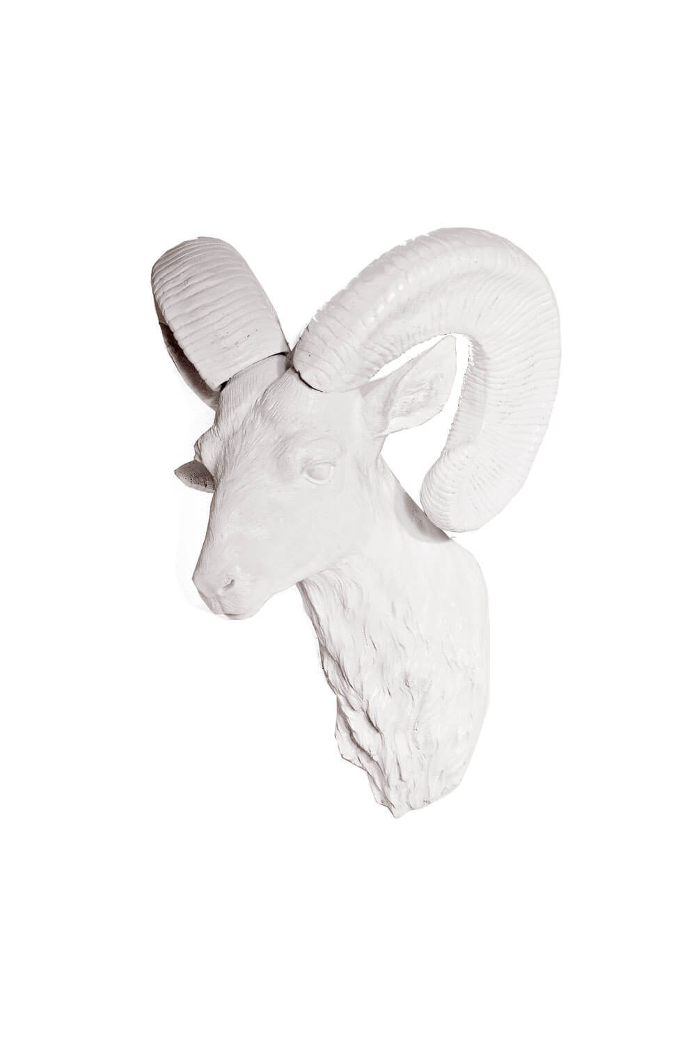 Buy Goat Head Wall Tribal Art Decor Resin 20x33cm Beyond Bright