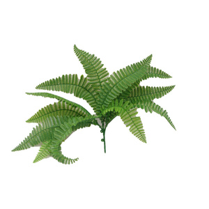 Fern Stem UV Stabalised - 20cm