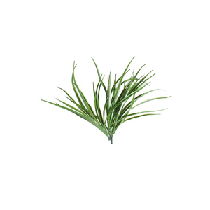 Grass Stem UV - 30cm