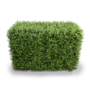 Artificial Portable Hedge UV Stabalised - 100cm x 55cm - Deluxe Buxus