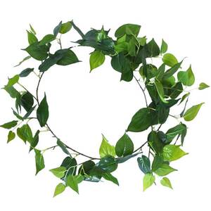 Long Philodendron Garland - 190cm