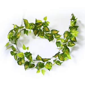 Mixed Yellow And Red Pothos Garland - 190cm
