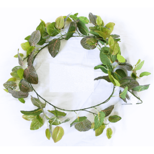 Long Fittonia Garland - 190cm