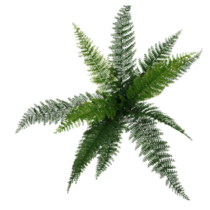 Dense Fern Stem - 45cm