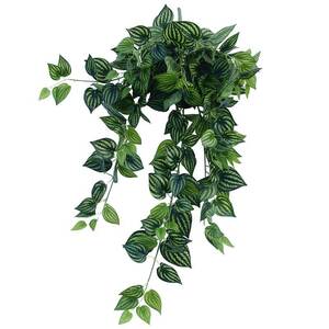 Philodendron Hanging Garland Bush - 100cm - Bright Mixed