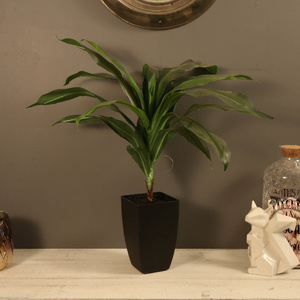 Potted Artificial Janet Craig Dracaena 58cm