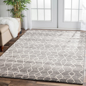 Evolve Remy Transitional Rug - Silver