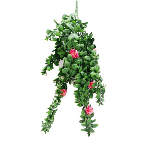 Hanging Rose Stem UV Stabalised - 85cm - Pink