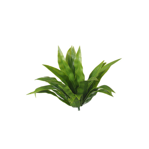 Aloe Vera Stem UV Stabalised - 20cm