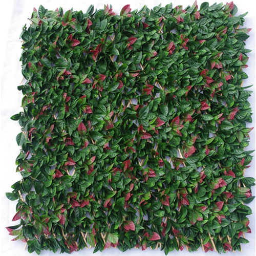 Photinia Hedge Extendable Trellis / Screen UV Stabalised - 2m x 1m