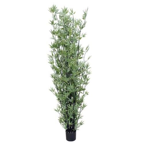 Artificial Japanese Bamboo UV Stabilized - Black Trunk - 2.1m