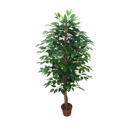 Artificial Bushy Ficus Tree - Dark Trunk -140cm
