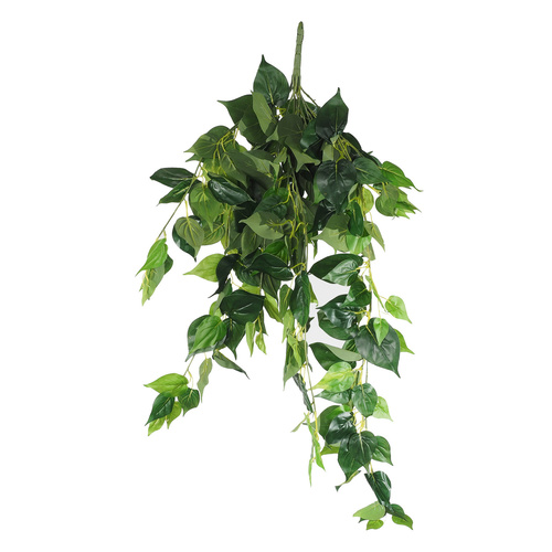 Philodendron Garland Bush UV Resistant - 100cm