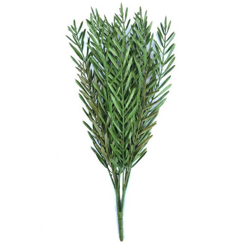 Native Tea Tree Stem UV Stabalised - 45cm