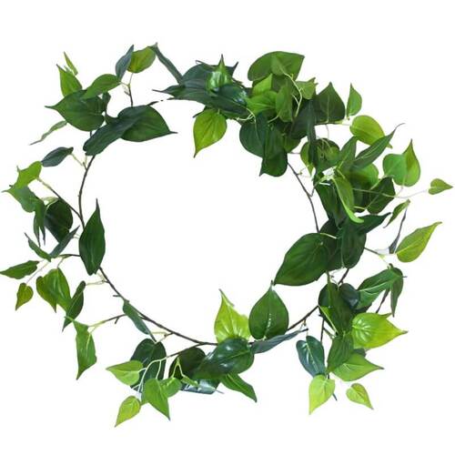 Long Philodendron Garland - 190cm