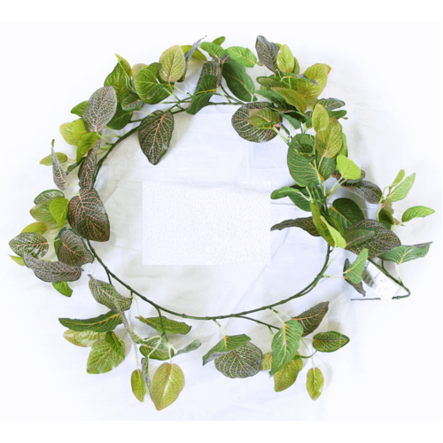 Long Fittonia Garland - 190cm