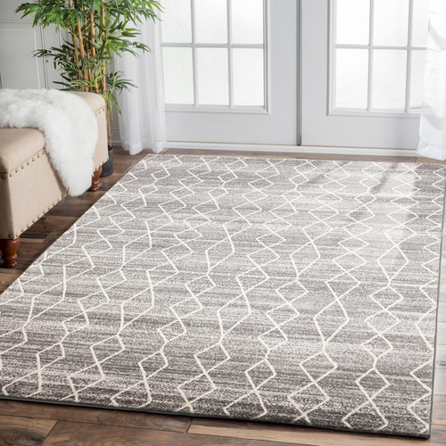Evolve Remy Transitional Rug - Silver - 240x330cm