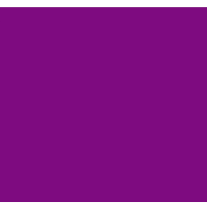 Purple Rugs